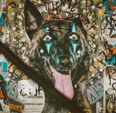 Künstlerische Street-Art-Collage eines Hundes mit aufgeklebten Wackelaugen und Comic-Hintergrund, di