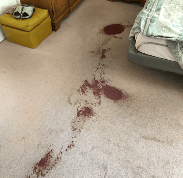A trail of dark red wine stains splattered across a beige bedroom carpet next to a bed.