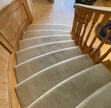 freshly cleaned carpet