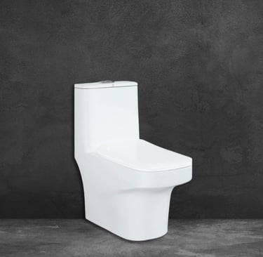 ONE PC COMMODE FROM CHEETAH BATHWARES