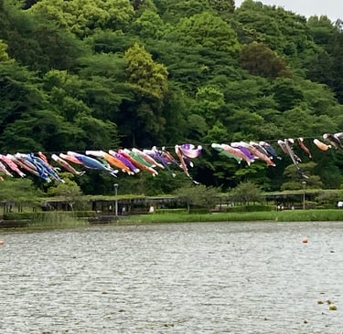 Many Koinobori strung together over a lake in Japan. Photo by Megumi Watanabe