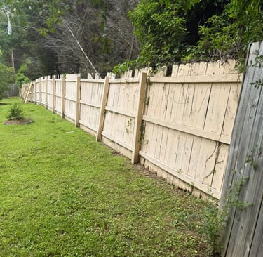 before pic of fence