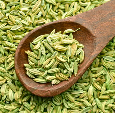 Fennel Seed Oil /Foeniculum vulgare L.  Family : Apiaceae  Part Used : Seeds  CAS Number :  8006-84-