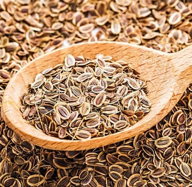 Dill Seed Oil / Anthum graveolens L.  Family  Apiaceae  Part Used : Seeds  CAS Number : 8006-75-5