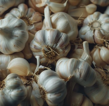 Garlic Oil /  Allium sativum L.   Family : Liliacea  Part Used : Bulbs  CAS Number : 8000-98-0