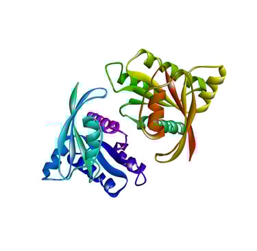 3D protein structure model for molecular modeling and in-silico analysis at Vitromics Biolab.