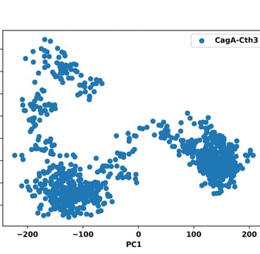 PCA scatter plot representing biological data clusters for bioinformatics research at Vitromics Biol