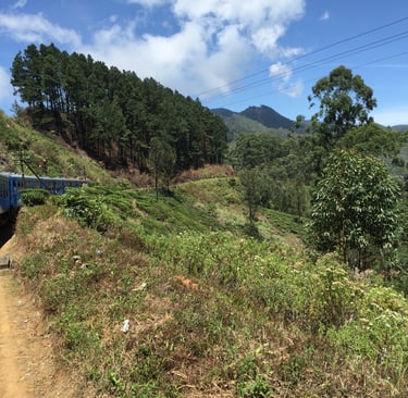 Booking tour to Ella from Ceylon Tour Way