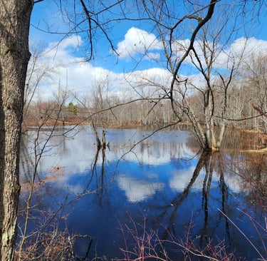 A flooded plain in early spring. #mentalhealth