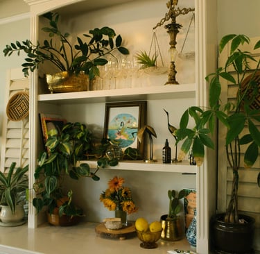 a shelf with a bunch of plants on it