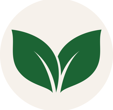 a green leafy plant with a leafy green leaves