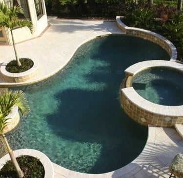 Freeform Curved backyard pool with soft blue water  with stone coping