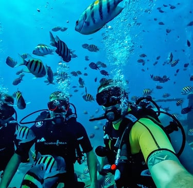 Scuba diving adventure in Bayahibe with Pac Tour Excursions Bayahibe