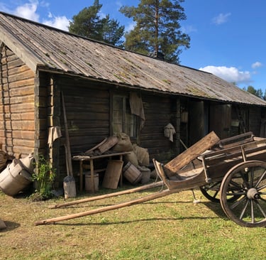 Koka Björn (To Cook a Bear)