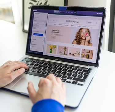 dropshipping in Canada beginner guide