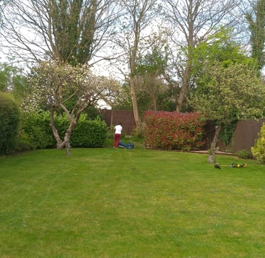 Professional gardener mowing a large green lawn in a backyard with lush trees and hedges.