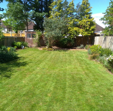 Mowed green lawn in a suburban backyard garden with flower beds, trees, and a wooden shed.