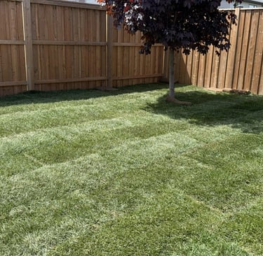 Fence Installation by TN Profesiional Services