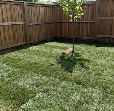 Fence installation by TN Profesiional Services