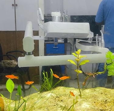 the white dental practice mankapur nagpur dental chairs and aquarium