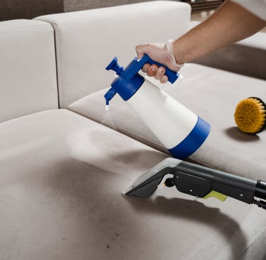 carpet cleaning near me, carpet cleaning services in Orlando, area rug cleaning Orlando, pet stain r
