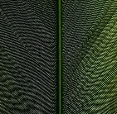 omid-armin-ApYDy4ur8JQ-unsplash