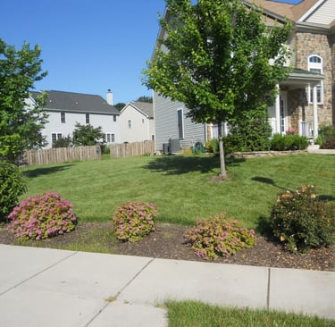 "Before" Photo of Another T&L Mulch Project