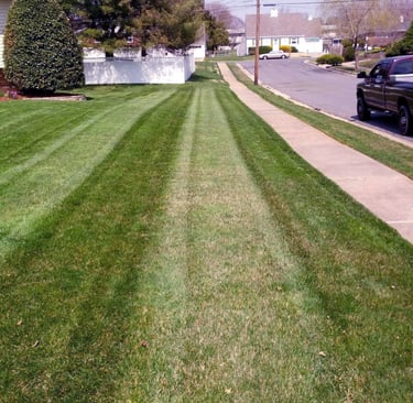 T&L Grass Cutting Striping