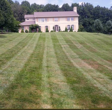 T&L Lawn Care, Grass Cutting Striping