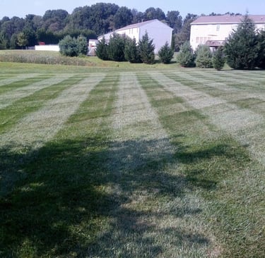 T&L Lawn Care, Grass Cutting Cross Striped