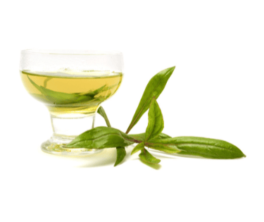 a glass of wine with a green leafy branch