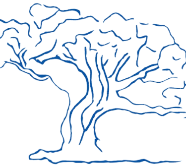 MNSophrologie, sophrologue à Limoges et environ
