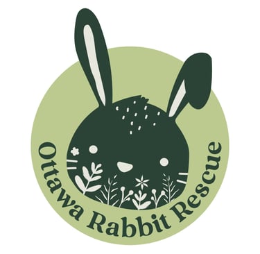Ottawa Rabbit Rescue