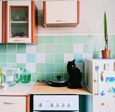 a black cat in the kitchen