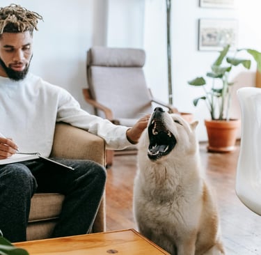 man writing Dubai's pet laws and regulations and cuddling his dog