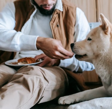 A man feeding a dog