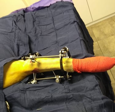Pepe's leg while recovering
