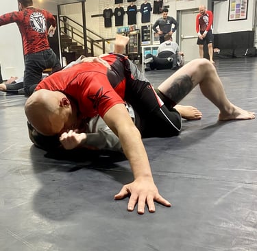 control an opponent with the bjj mount