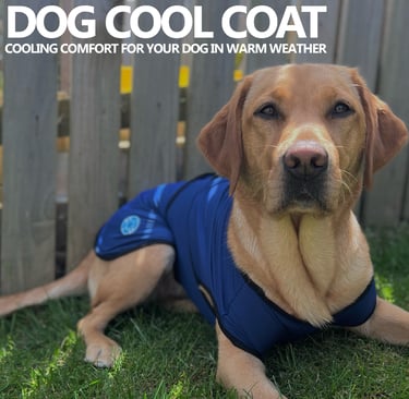 Ancol Dog colling coats
