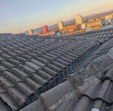 Cubierta analizada en Vitoria-Gasteiz