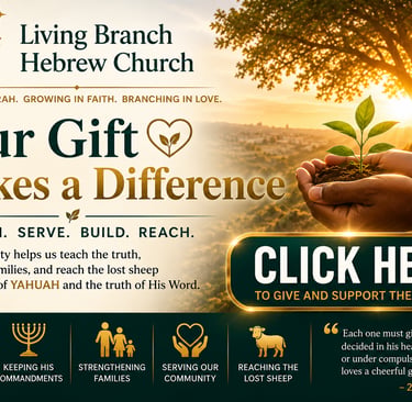 Donation banner for Living Branch Hebrew Church showing hands holding a sapling and a click here to give button.