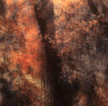 Abstract impression of trees in warm autumn tones, ethereal landscape photography by Martin Osner.