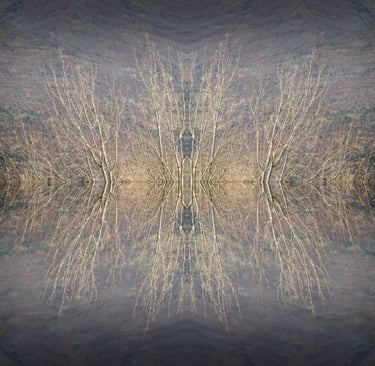 Abstract mirrored tree landscape with soft neutral tones and symmetrical composition