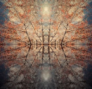Abstract mirrored autumn trees reflected in water with warm tones and balanced symmetry