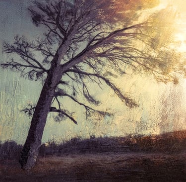 Textured painting by Martin Osner of a lone tree leaning against a soft sky with warm light and subtle earthy tones.