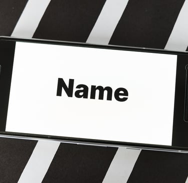 phone with text "Name" representing domain names