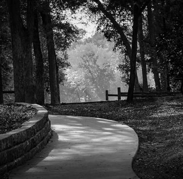 Light and shadow along a walk-in-the-park Chandler Park Georgetown Tx