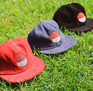 Dipshit Skateboards cap