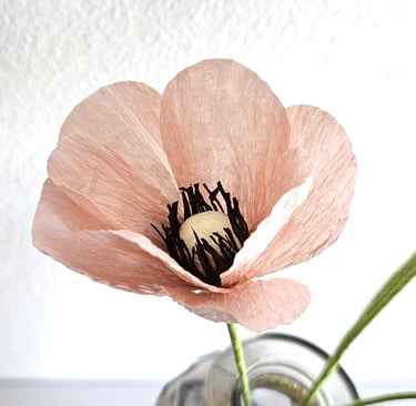 Dit roze bloempje is een vlinderranonkel. De bloem is gemaakt van crepe papier en daarmee een duurzame bloem voor in huis.