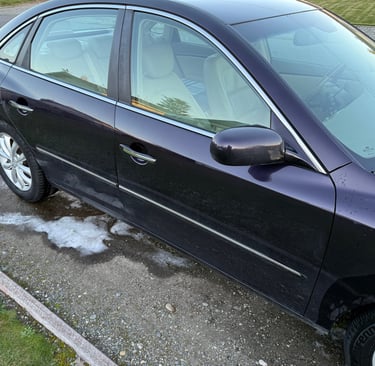 purple car passenger side
